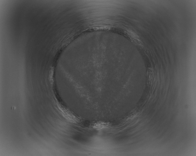 X0000071340550200607071701
