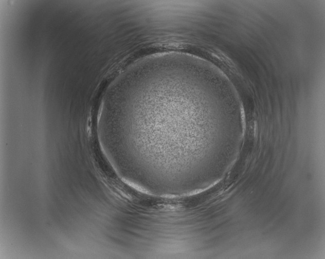 X0000071340552200607071701