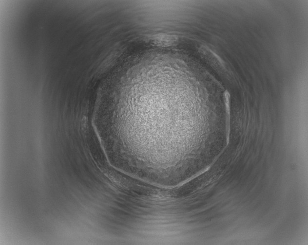 X0000071340553200607071701
