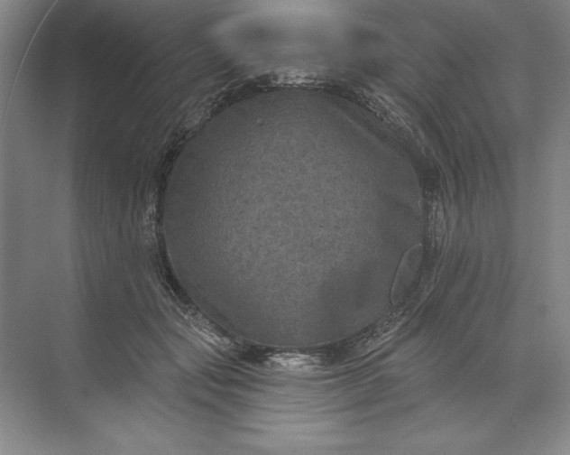 X0000071340557200607071701