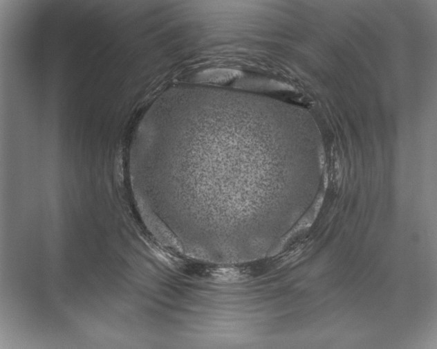 X0000071340562200607071701