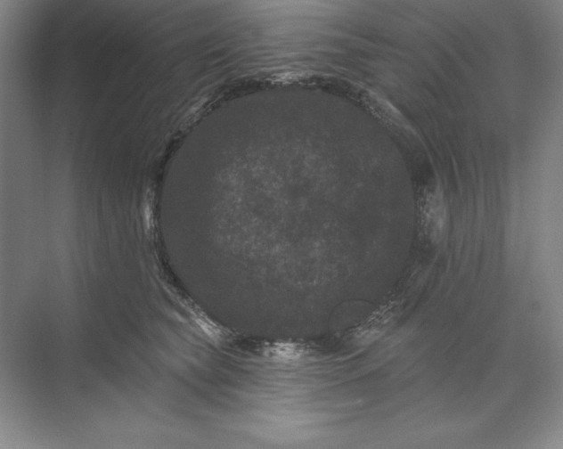 X0000071340565200607071701