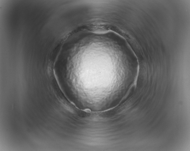 X0000071340573200607071701