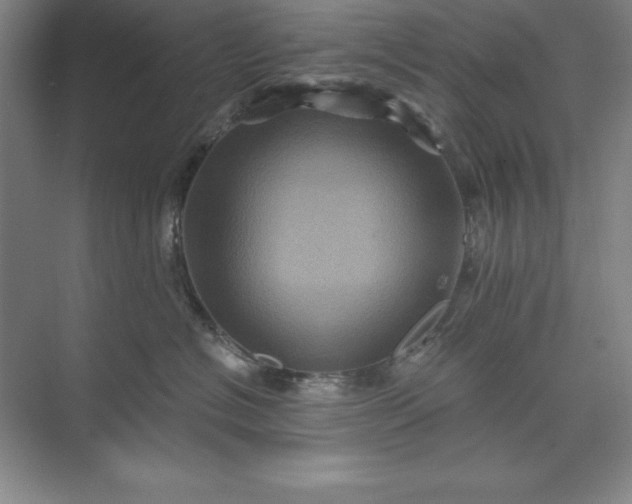 X0000071340574200607071701