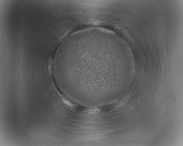 X0000071340576200607071701