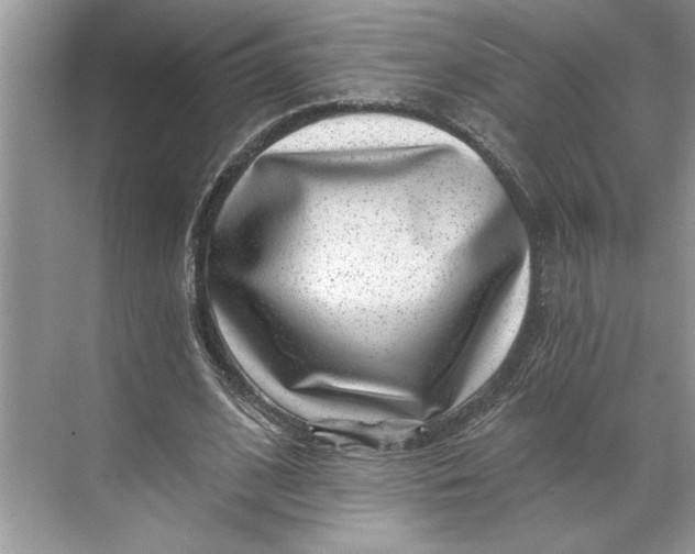 X0000071340584200607071700