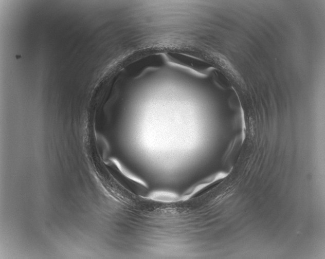 X0000071340588200607071700