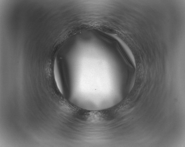 X0000071340612200607071700