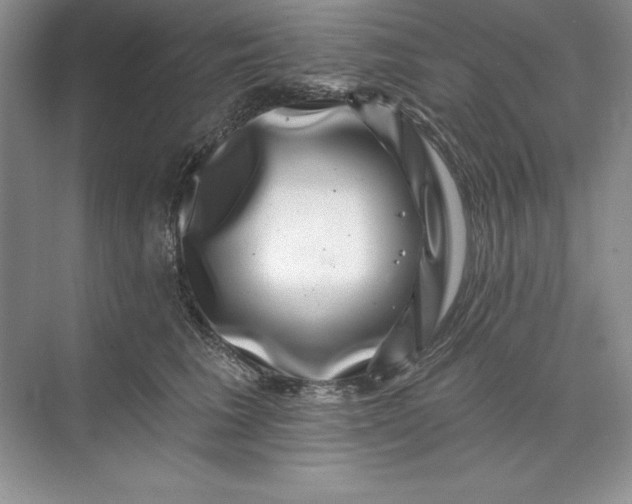 X0000071340613200607071700