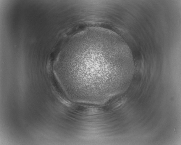 X0000071340623200607071700