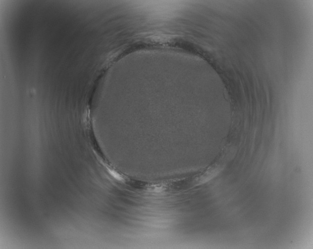 X0000071340624200607071700