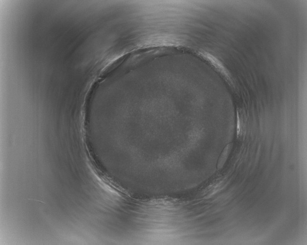 X0000071340627200607071659