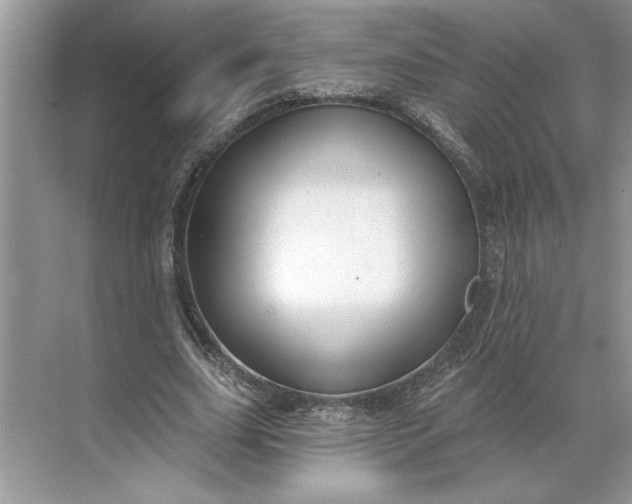 X0000071340631200607071659