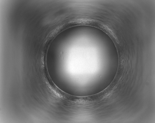 X0000071340633200607071659