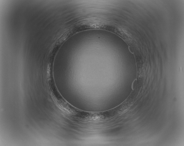 X0000071340646200607071659