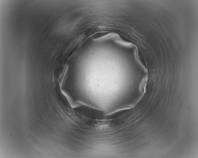 X0000071340651200607071659