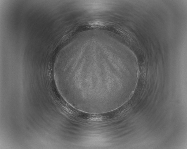 X0000071340653200607071659