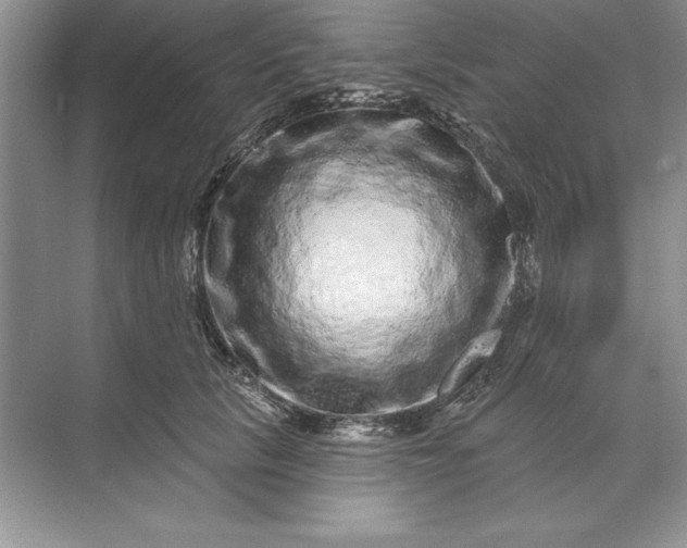 X0000071340657200607071659
