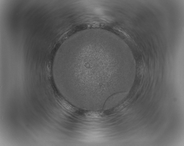 X0000071340661200607071659