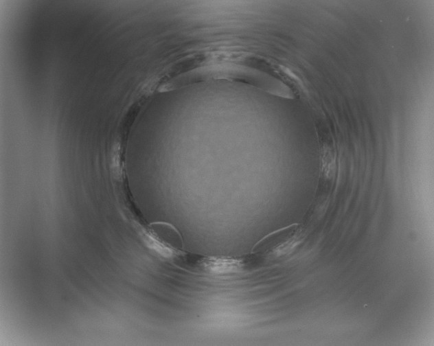 X0000071340670200607071659