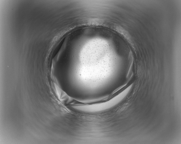 X0000071340673200607071659