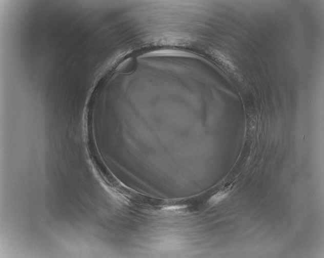 X0000071340678200607071659