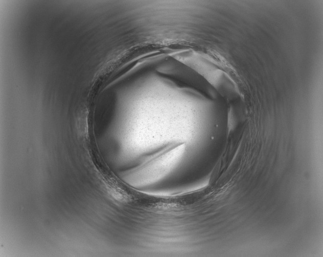 X0000071340685200607071658