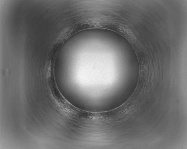X0000071340694200607071658