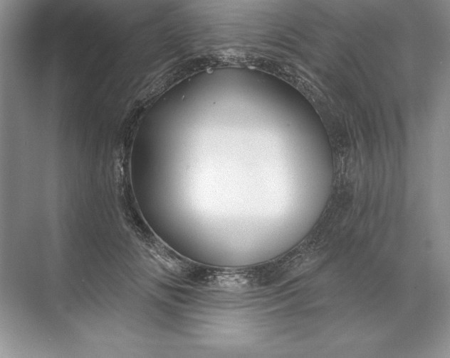 X0000071340702200607071658