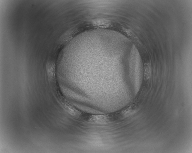 X0000071340713200607071658