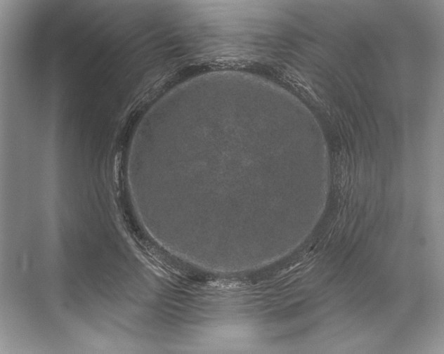 X0000071340742200607071657