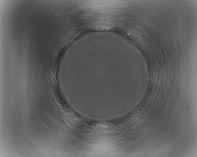 X0000071340743200607071657