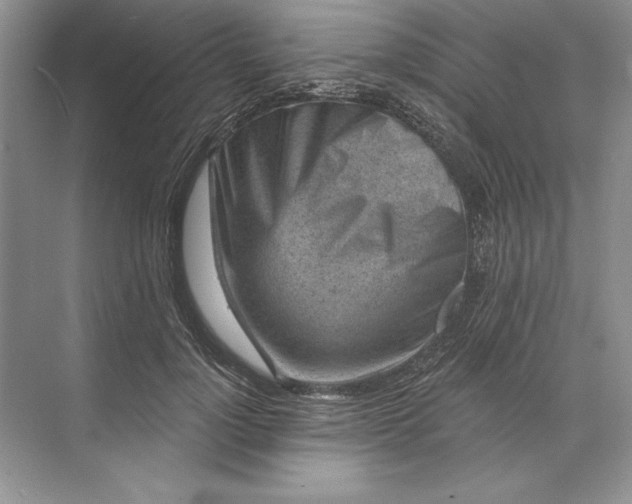 X0000071340748200607071658