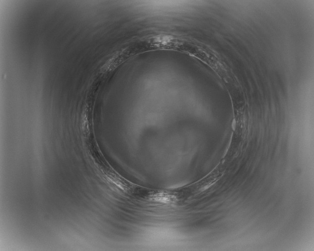 X0000071340754200607071658
