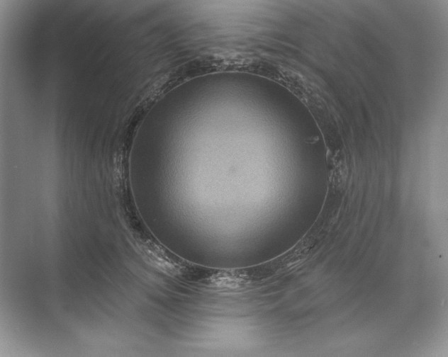 X0000071340756200607071658