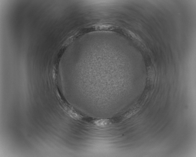X0000071340761200607071658