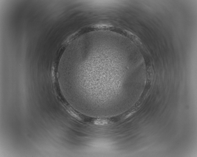 X0000071340762200607071658