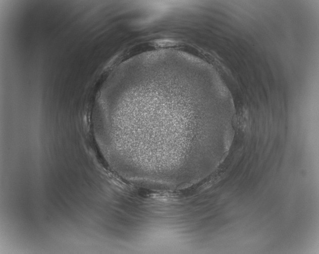 X0000071340763200607071658