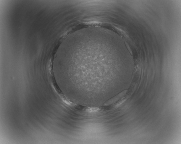 X0000071340767200607071658
