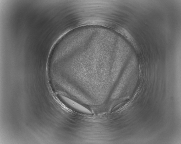 X0000071340780200607071657
