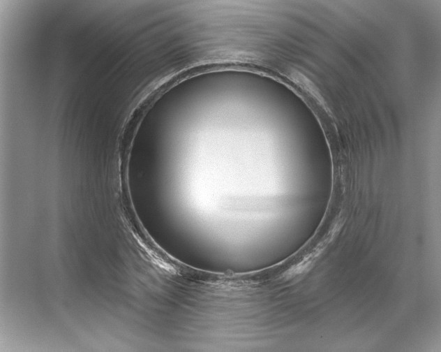 X0000071340781200607071657