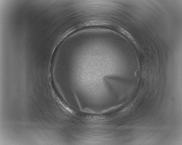X0000071340786200607071657