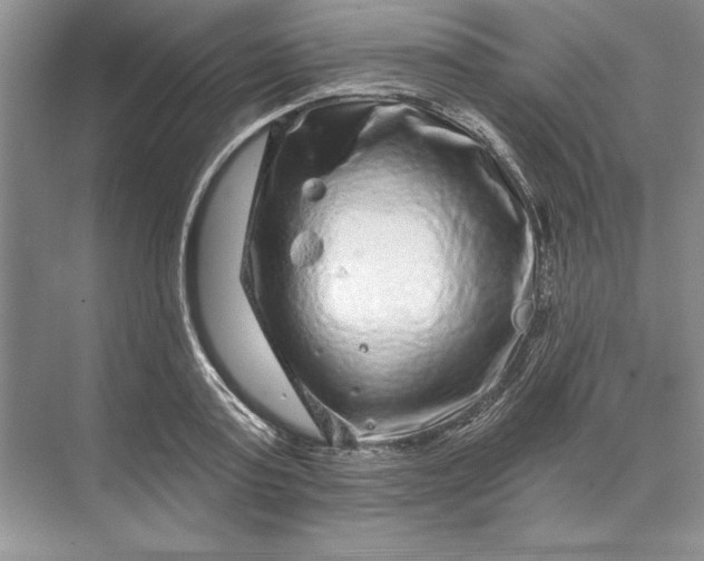 X0000071340795200607071657