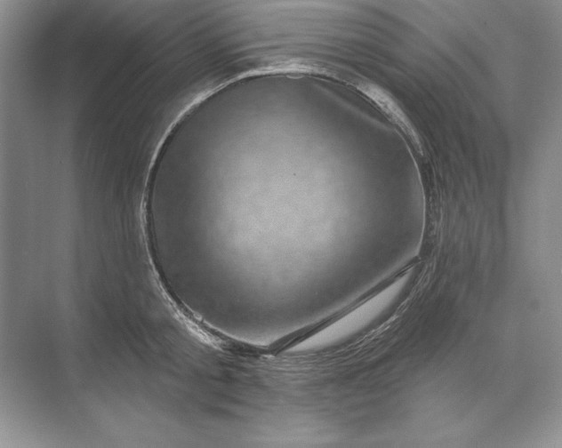 X0000071340805200607071656