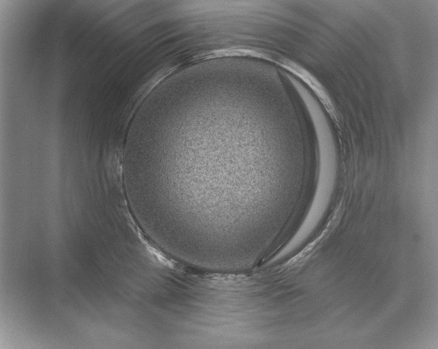 X0000071340809200607071656