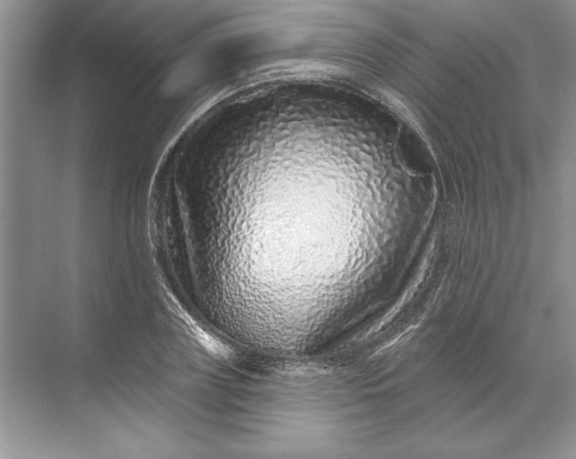 X0000071340835200607071656