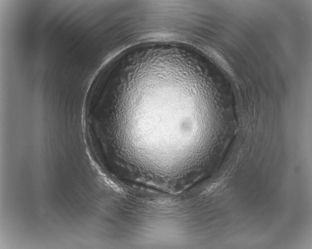 X0000071340839200607071656