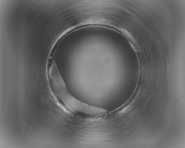 X0000071340846200607071656