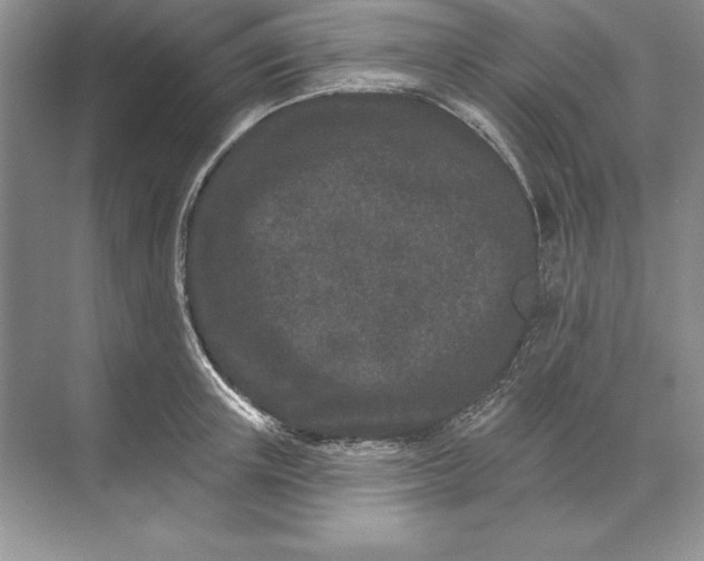 X0000071340851200607071656