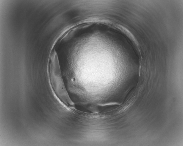 X0000071340855200607071656